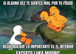 Enlace a Yo me quedo con el exterior de Modric