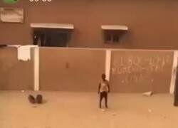 Enlace a ¿Quién hizo esto?