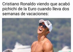 Enlace a Fue fácil para el bicho