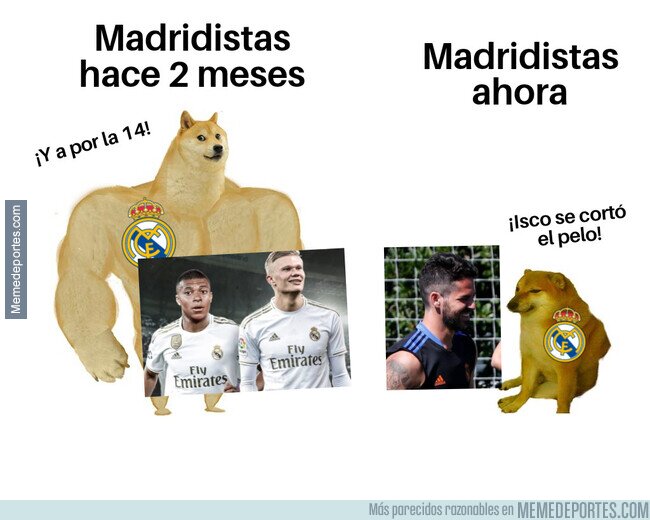 1140197 - La ilusión ahora es otra