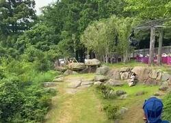 Enlace a La fea caida de Van der Poel en la prueba de ciclismo de montaña.