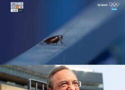 Enlace a Por poner un ejemplo