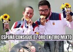 Enlace a Medalla dorada a pesar de la ausencias