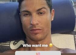 Enlace a Amo la democracia