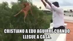 Enlace a ¡PERRO MALO!