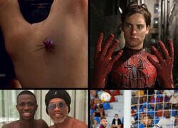 Enlace a Vinicius se transformó