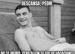 Enlace a Descansa, Pedri