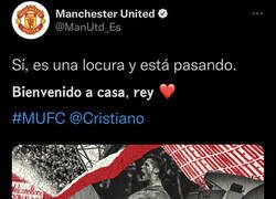 Enlace a Vuelve el hijo pródigo 