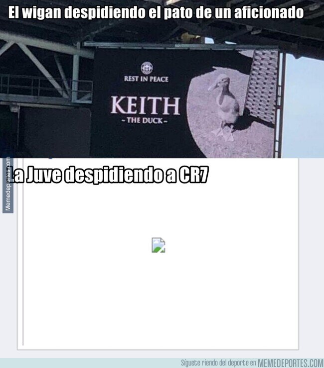 1143335 - ¿Por qué tanta frialdad?