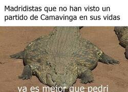 Enlace a No tienen pruebas ni dudas