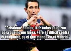 Enlace a El Madrid tambien tiene a su dictador shiquitito