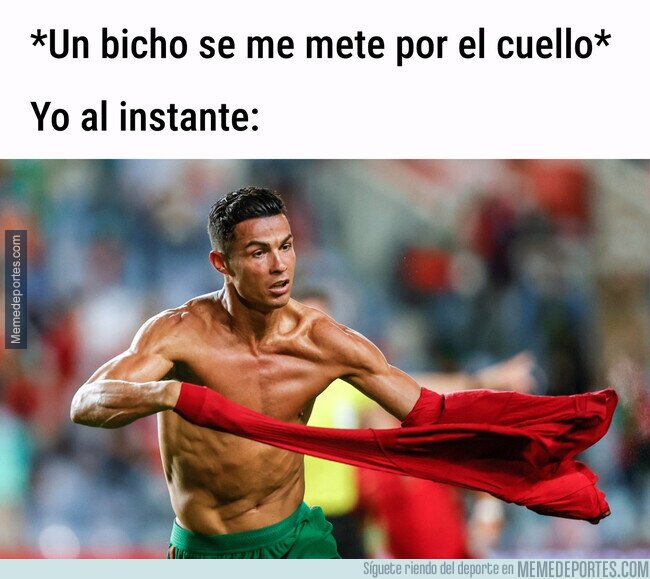 1143626 - Cuando noto un bicho hago como el bicho