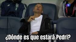 Enlace a Cuando abra los ojos, volverá de vacaciones