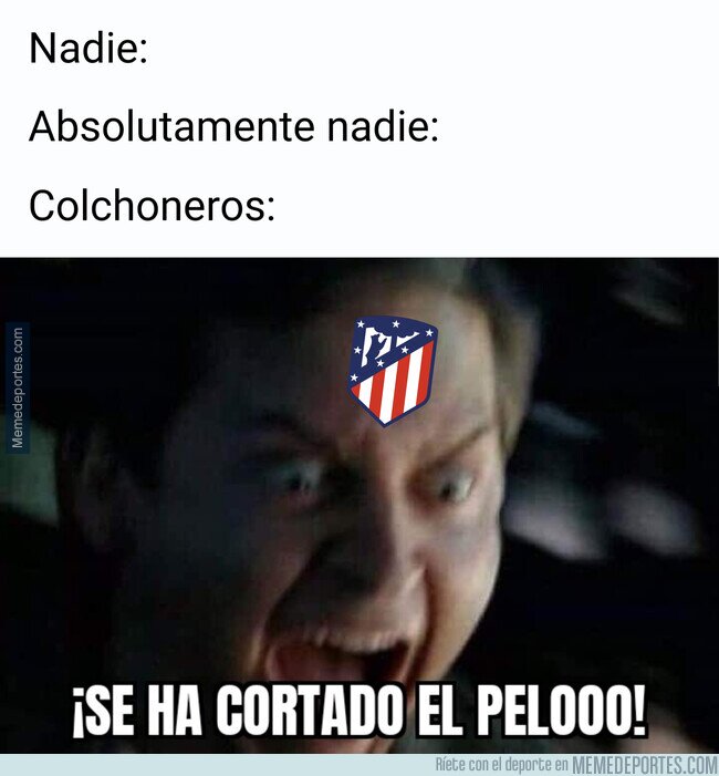 1144008 - Se acabó la coleta