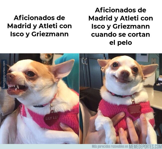 1144035 - Piensan que son como Sansón a la inversa