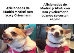 Enlace a Piensan que son como Sansón a la inversa