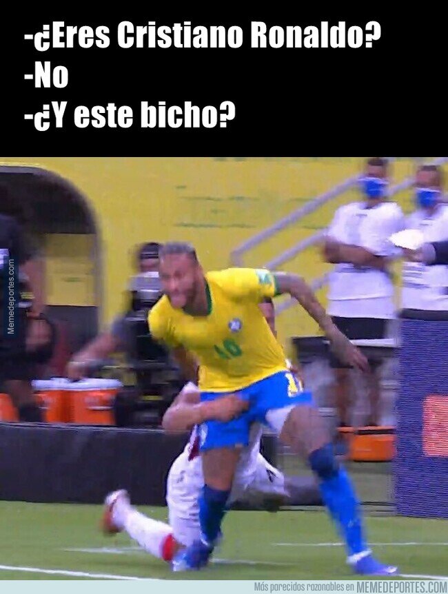 1144119 - Todo pelota