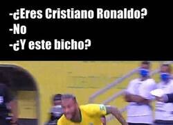 Enlace a Todo pelota