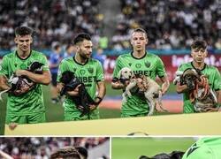 Enlace a En la liga rumana los jugadores salen con perritos en brazos que buscan un hogar. Yo quiero uno.
