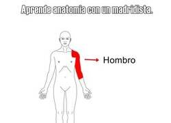 Enlace a Cada día aprendemos algo nuevo