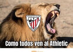 Enlace a El Tigre caza leones