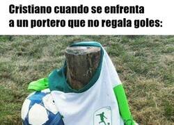 Enlace a ¿Y el rebote de hoy?