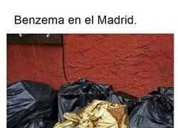 Enlace a El único brillante