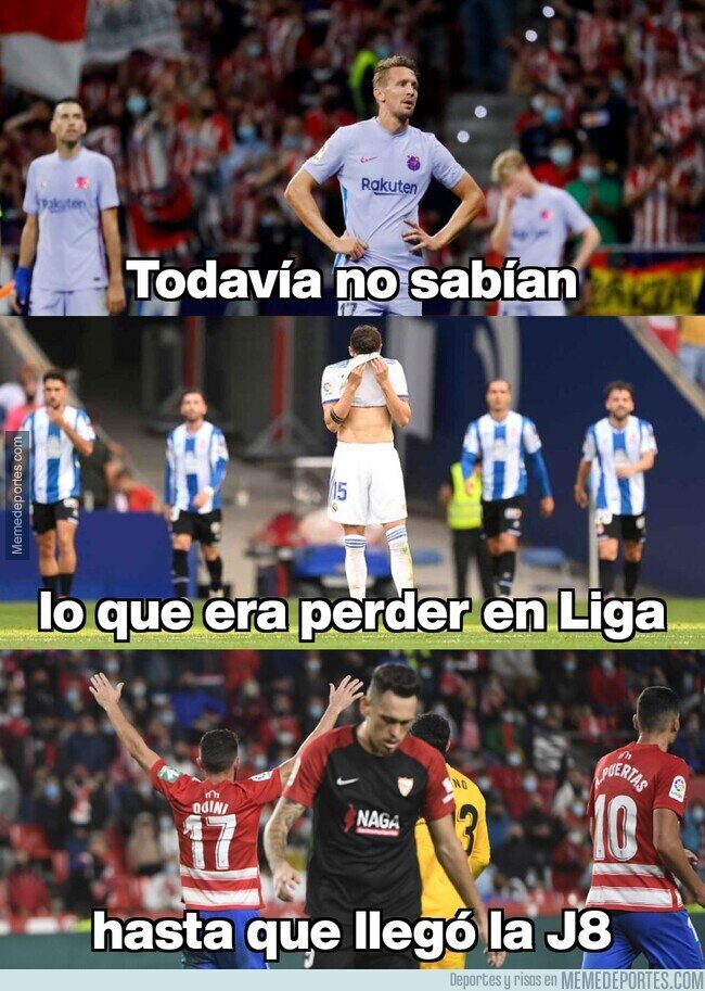 1146058 - Parece como si se hubieran puesto de acuerdo