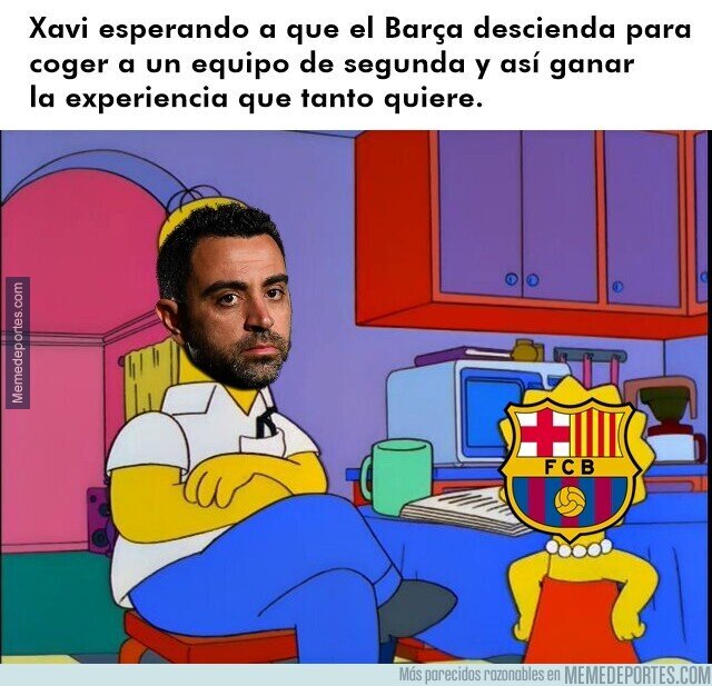 1146071 - Una expliación con mucho sentido