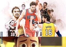 Enlace a Se retira la leyenda Pau Gasol