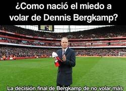 Enlace a El origen del miedo a volar de Bergkamp