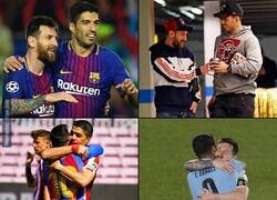 Enlace a Una amistad como la de Suárez y Messi