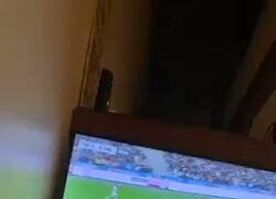 Enlace a Nasri regresando al campo. Me da hasta ternura