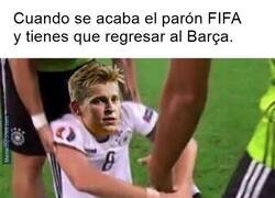 Enlace a El señor vaca aguarda.