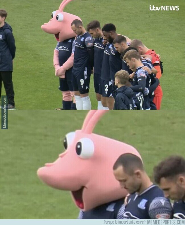 1146882 - Un minuto de silencio un tanto incómodo para esta mascota