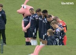 Enlace a Un minuto de silencio un tanto incómodo para esta mascota