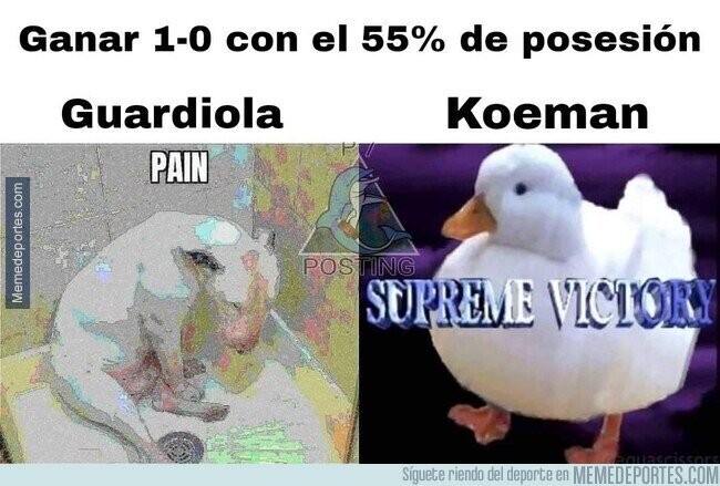 1147126 - Normal, si es lo que hay.