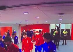 Enlace a Una buena compañía para irse de la mano al campo