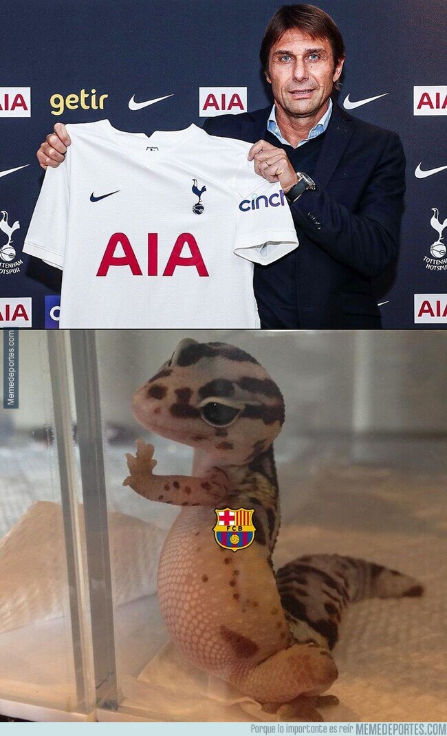 1147974 - El Tottenham despide a su entrenador y pim pam pum, ya tienen uno nuevo
