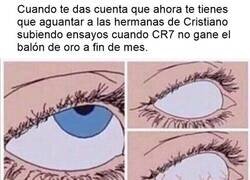 Enlace a Ya están escribiendo el primer borrador