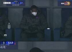 Enlace a Hasta el cabello se ha teñido