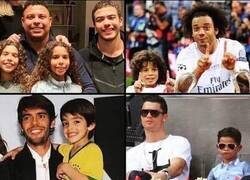 Enlace a Cuando la prueba de adn no es necesaria