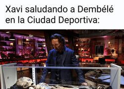 Enlace a Imágenes en exclusiva