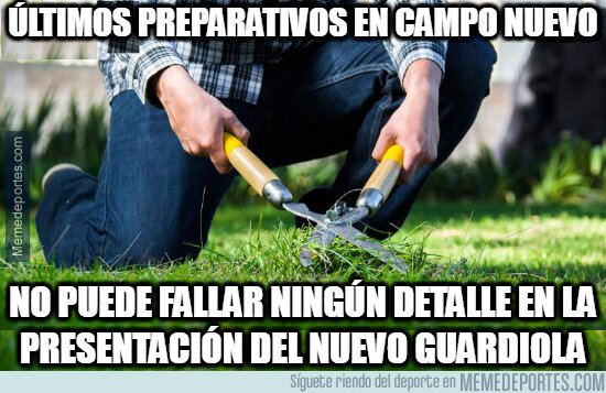 1148210 - Todo debe ser perfecto