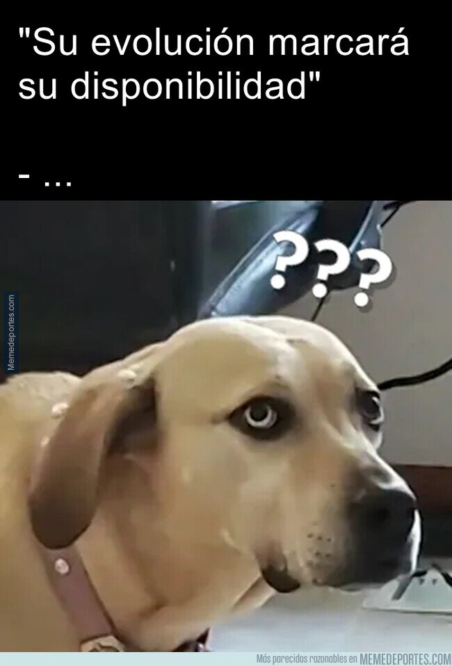 1148304 - ¿Pero eso qué significa?