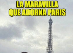 Enlace a Dos maravillas q están de adorno en París