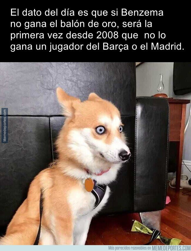 1148528 - Parece que este mes se rompe una hegemonía