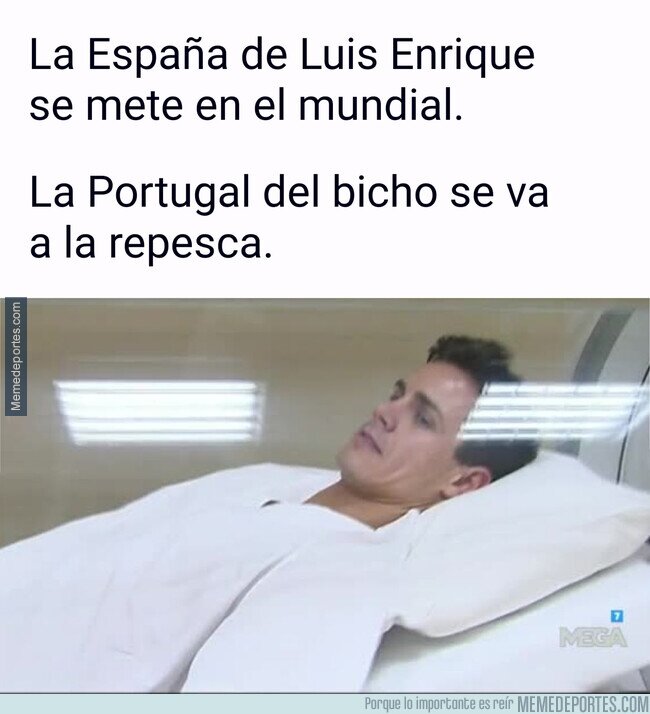 1148831 - Más de uno estará así hoy