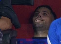 Enlace a Una noticia para alegrarte el día