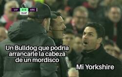 Enlace a Tenso enfrentamiento